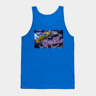 Clownfish Tank Top